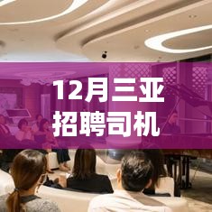 12月三亞司機(jī)招聘熱門(mén)信息，探索自然美景，尋找內(nèi)心寧?kù)o與平和之旅