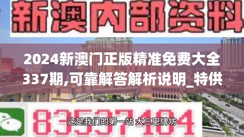 2024新澳門正版精準免費大全337期,可靠解答解析說明_特供款53.106-2