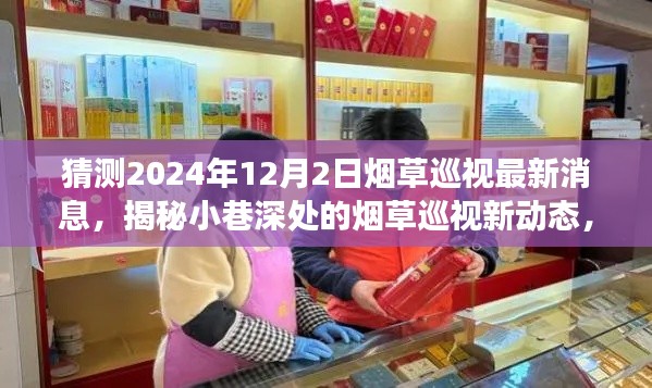 揭秘?zé)煵菅惨曅聞?dòng)態(tài)，特色小店故事與最新巡視消息（預(yù)測(cè)2024年12月）