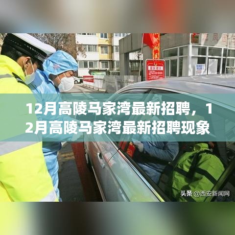 12月高陵馬家灣最新招聘現(xiàn)象解析，影響與觀點(diǎn)探討