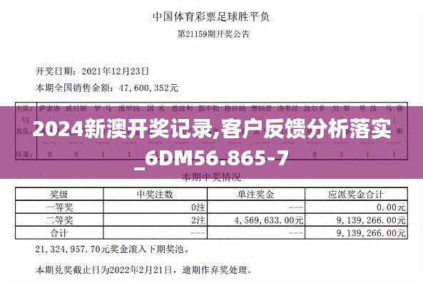 2024新澳開獎記錄,客戶反饋分析落實_6DM56.865-7