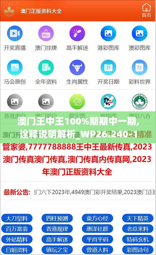 澳門王中王100%期期中一期,詮釋說明解析_WP26.240-1