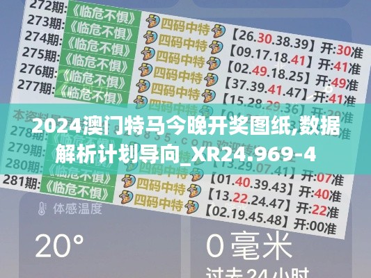 2024澳門特馬今晚開獎圖紙,數(shù)據(jù)解析計劃導(dǎo)向_XR24.969-4