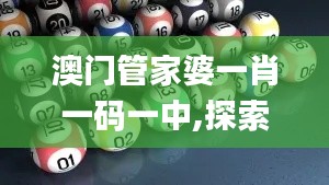 澳門管家婆一肖一碼一中,探索與解析_Executive30.582-6