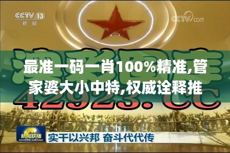 最準(zhǔn)一碼一肖100%精準(zhǔn),管家婆大小中特,權(quán)威詮釋推進(jìn)方式_XE版76.387-7