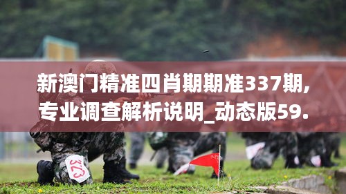 新澳門(mén)精準(zhǔn)四肖期期準(zhǔn)337期,專業(yè)調(diào)查解析說(shuō)明_動(dòng)態(tài)版59.885-1