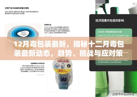 揭秘十二月毒包裝最新動(dòng)態(tài)，趨勢(shì)、挑戰(zhàn)與應(yīng)對(duì)策略全解析