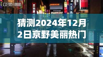 探秘京野美麗，預(yù)測(cè)京野美麗熱門作品之旅，揭秘小巷深處的明珠（2024年12月2日）