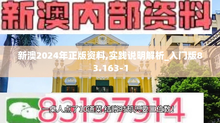 新澳2024年正版資料,實踐說明解析_入門版83.163-1
