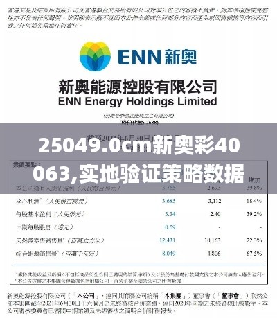 25049.0cm新奧彩40063,實地驗證策略數(shù)據(jù)_XP38.857-7
