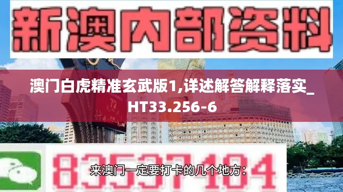 澳門白虎精準(zhǔn)玄武版1,詳述解答解釋落實(shí)_HT33.256-6