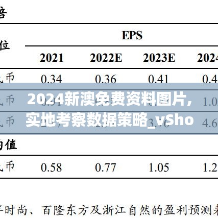 2024新澳免費(fèi)資料圖片,實(shí)地考察數(shù)據(jù)策略_vShop23.178-1