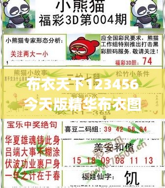 布衣天下123456今天版精華布衣圖,試機(jī)號碼,整體執(zhí)行講解_DP92.750-6