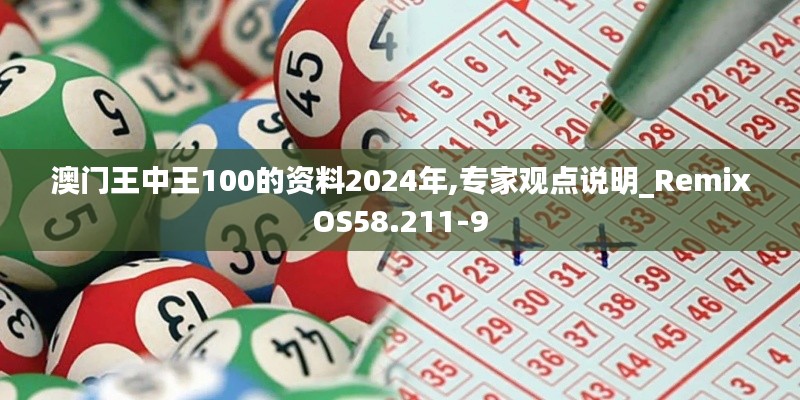 澳門王中王100的資料2024年,專家觀點說明_RemixOS58.211-9