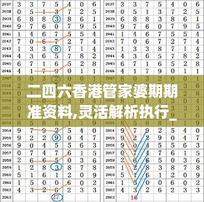 二四六香港管家婆期期準資料,靈活解析執(zhí)行_SP83.173-4