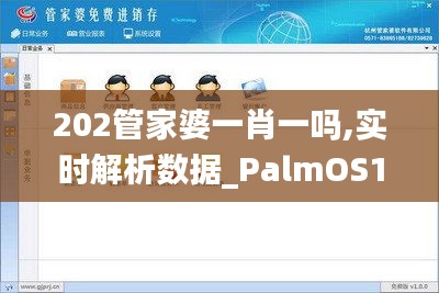 202管家婆一肖一嗎,實時解析數據_PalmOS13.919-1