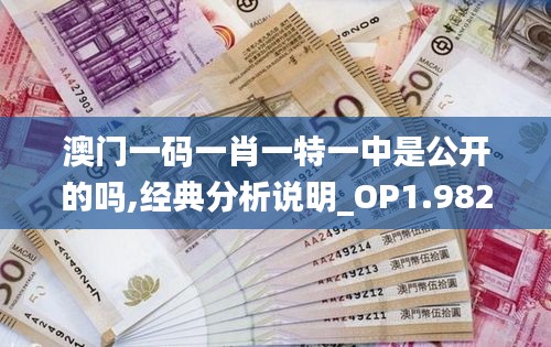 澳門一碼一肖一特一中是公開的嗎,經(jīng)典分析說明_OP1.982-4