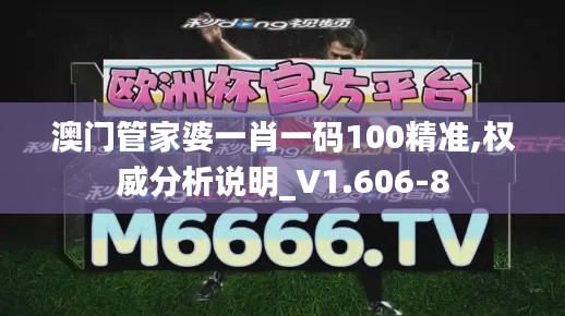 澳門管家婆一肖一碼100精準(zhǔn),權(quán)威分析說明_V1.606-8