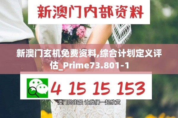 新澳門玄機免費資料,綜合計劃定義評估_Prime73.801-1