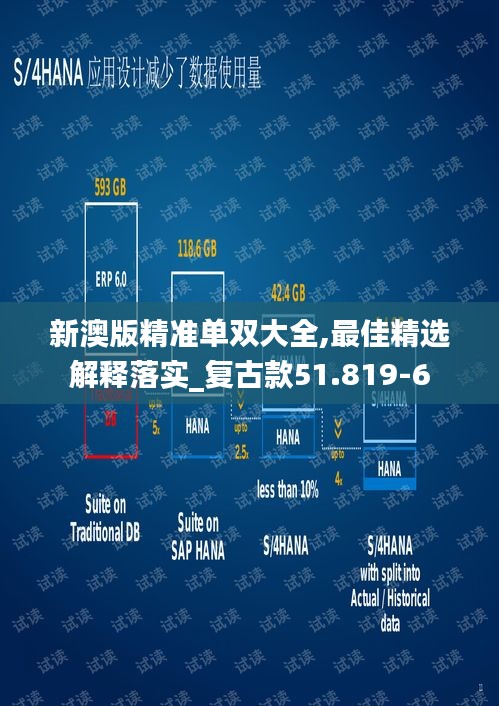 新澳版精準(zhǔn)單雙大全,最佳精選解釋落實(shí)_復(fù)古款51.819-6