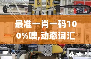 最準(zhǔn)一肖一碼100%噢,動態(tài)詞匯解析_探索版75.944-2