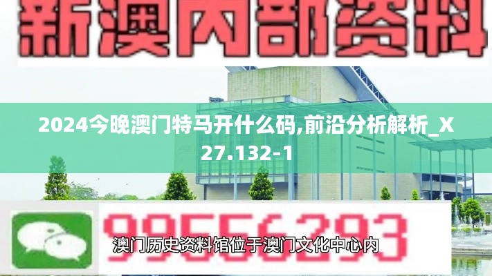 2024今晚澳門特馬開什么碼,前沿分析解析_X27.132-1
