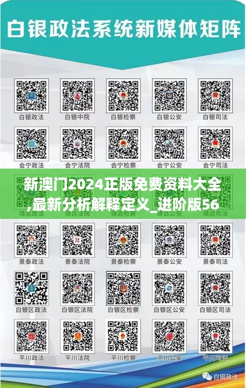 新澳門2024正版免費(fèi)資料大全,最新分析解釋定義_進(jìn)階版56.863-1