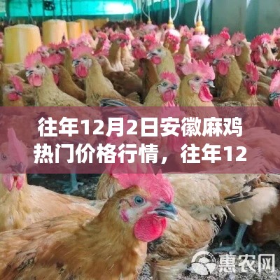 安徽麻雞熱門價格行情深度解析及歷年12月2日行情回顧