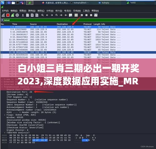 白小姐三肖三期必出一期開獎2023,深度數(shù)據(jù)應(yīng)用實施_MR46.589-8