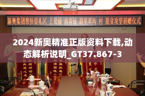 2024新奧精準(zhǔn)正版資料下載,動(dòng)態(tài)解析說明_GT37.867-3