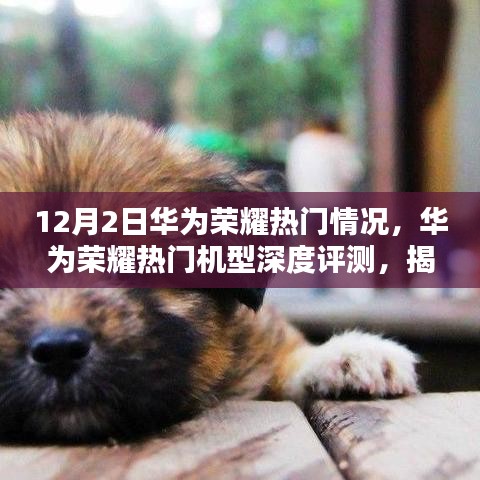華為榮耀熱門機(jī)型深度評測，揭秘產(chǎn)品特性與極致體驗，12月2日最新動態(tài)解析