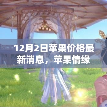 蘋果情緣揭秘，最新價格動態(tài)與冬日友情的碰撞