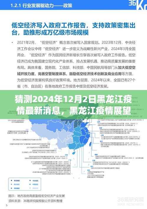 黑龍江疫情展望，深度分析預(yù)測(cè)與最新消息（預(yù)測(cè)至2024年12月2日）