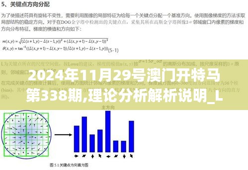 2024年11月29號(hào)澳門(mén)開(kāi)特馬第338期,理論分析解析說(shuō)明_LE版39.637-2