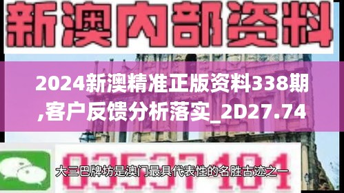 2024新澳精準(zhǔn)正版資料338期,客戶反饋分析落實(shí)_2D27.749-7