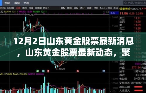 山東黃金股票最新動態(tài)及分析聚焦（12月2日更新）