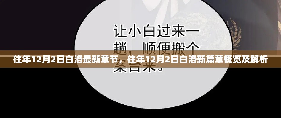 往年12月2日白洛新篇章，概覽、解析與最新更新