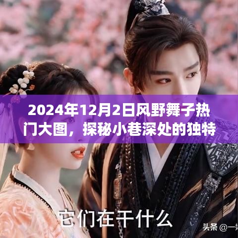 探秘小巷深處的獨(dú)特風(fēng)味，風(fēng)野舞子熱門大圖背后的故事與魅力展現(xiàn)