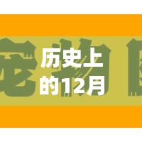 歷史上的12月2日鄭開碧桂園房價走勢回顧與當前市場觀點