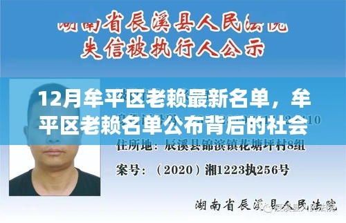 牟平區(qū)老賴名單公布背后的社會(huì)影響與個(gè)體反思