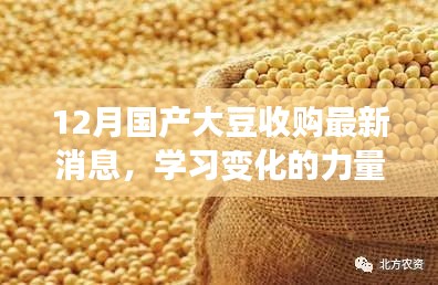 12月國產(chǎn)大豆收購最新消息，成長之旅中的振奮與自信