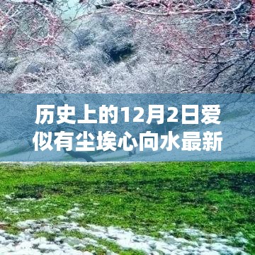 物以希為貴 第4頁