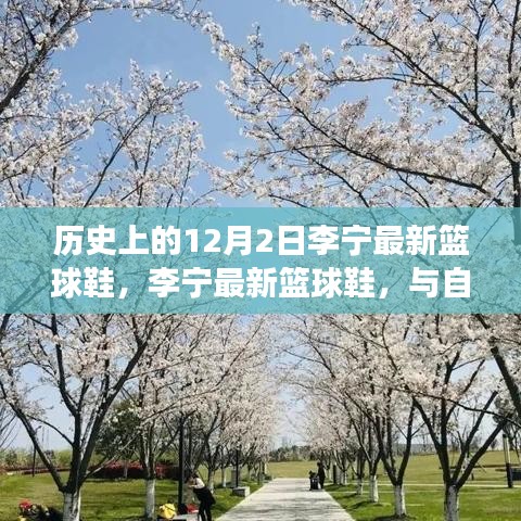 李寧籃球鞋與自然美景的邂逅，12月2日的新品之旅