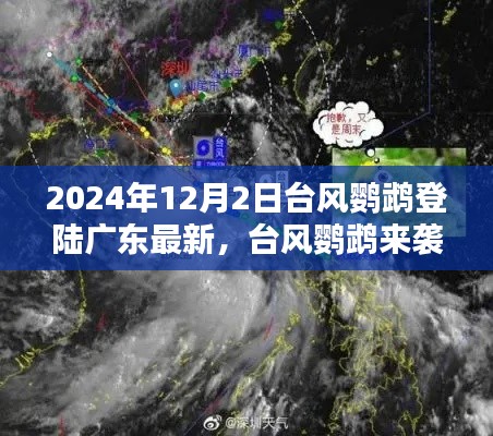 臺(tái)風(fēng)鸚鵡來襲廣東，應(yīng)對(duì)指南與最新登陸消息