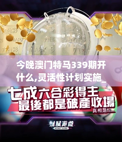 今晚澳門特馬339期開什么,靈活性計劃實施_XT37.408-1
