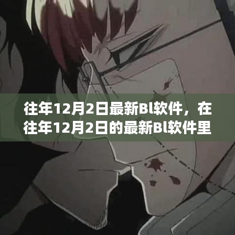 往年12月2日最新Bl軟件，與自然美景共舞的心靈之旅