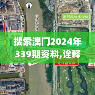搜索澳門2024年339期資料,詮釋說明解析_手游版176.230-5