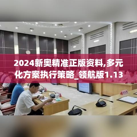 2024新奧精準正版資料,多元化方案執(zhí)行策略_領航版1.135-9