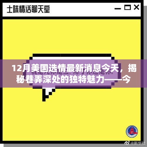 揭秘巷弄深處的獨特魅力，今日美國選情下的隱藏瑰寶小店探秘