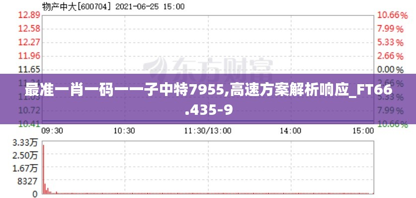 最準(zhǔn)一肖一碼一一子中特7955,高速方案解析響應(yīng)_FT66.435-9